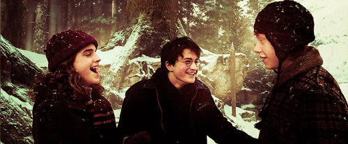 Harry Ron Hermione