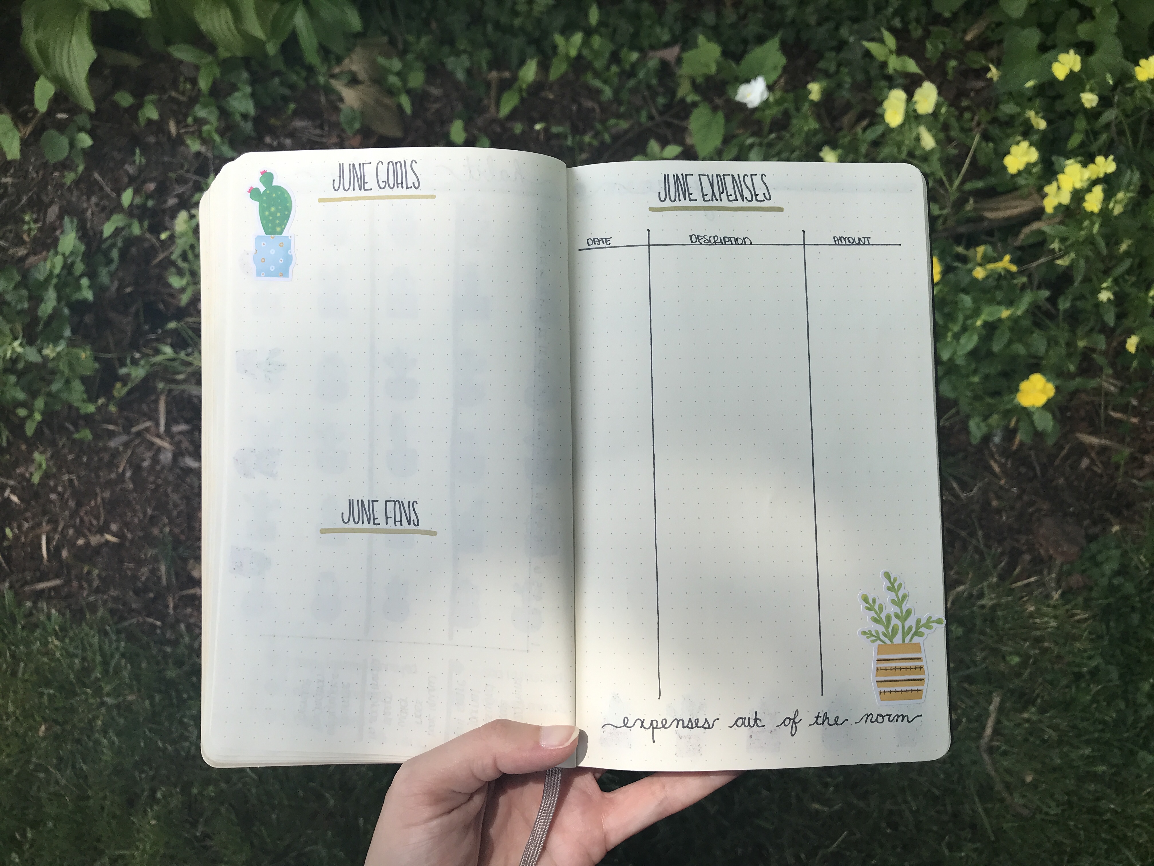 goals and expenses tracker