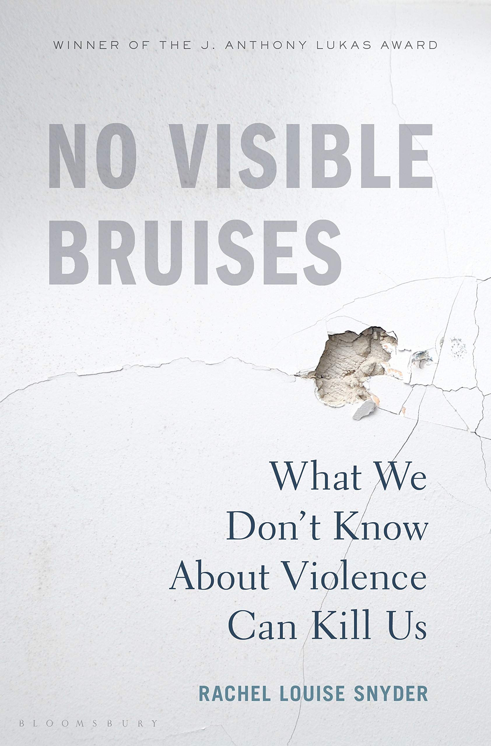 No Visible Bruises 2019 book releases