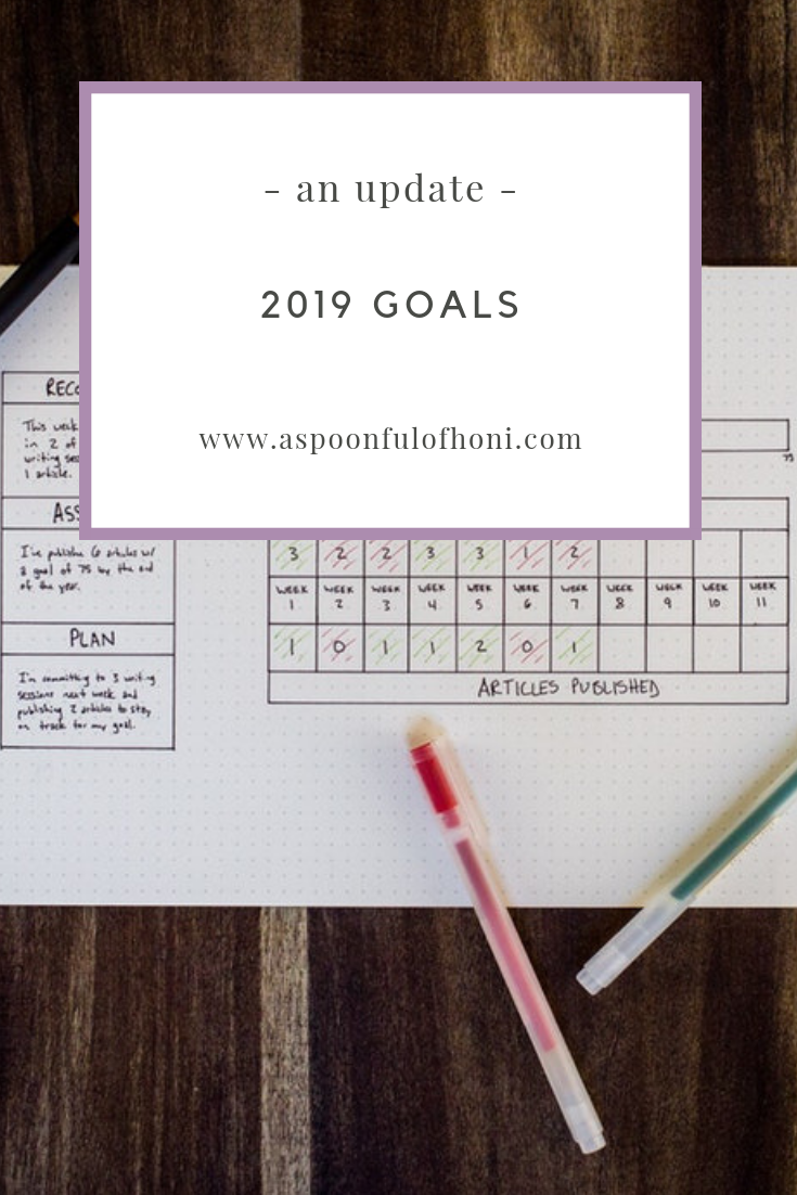 2019 goals an update pinterest graphic