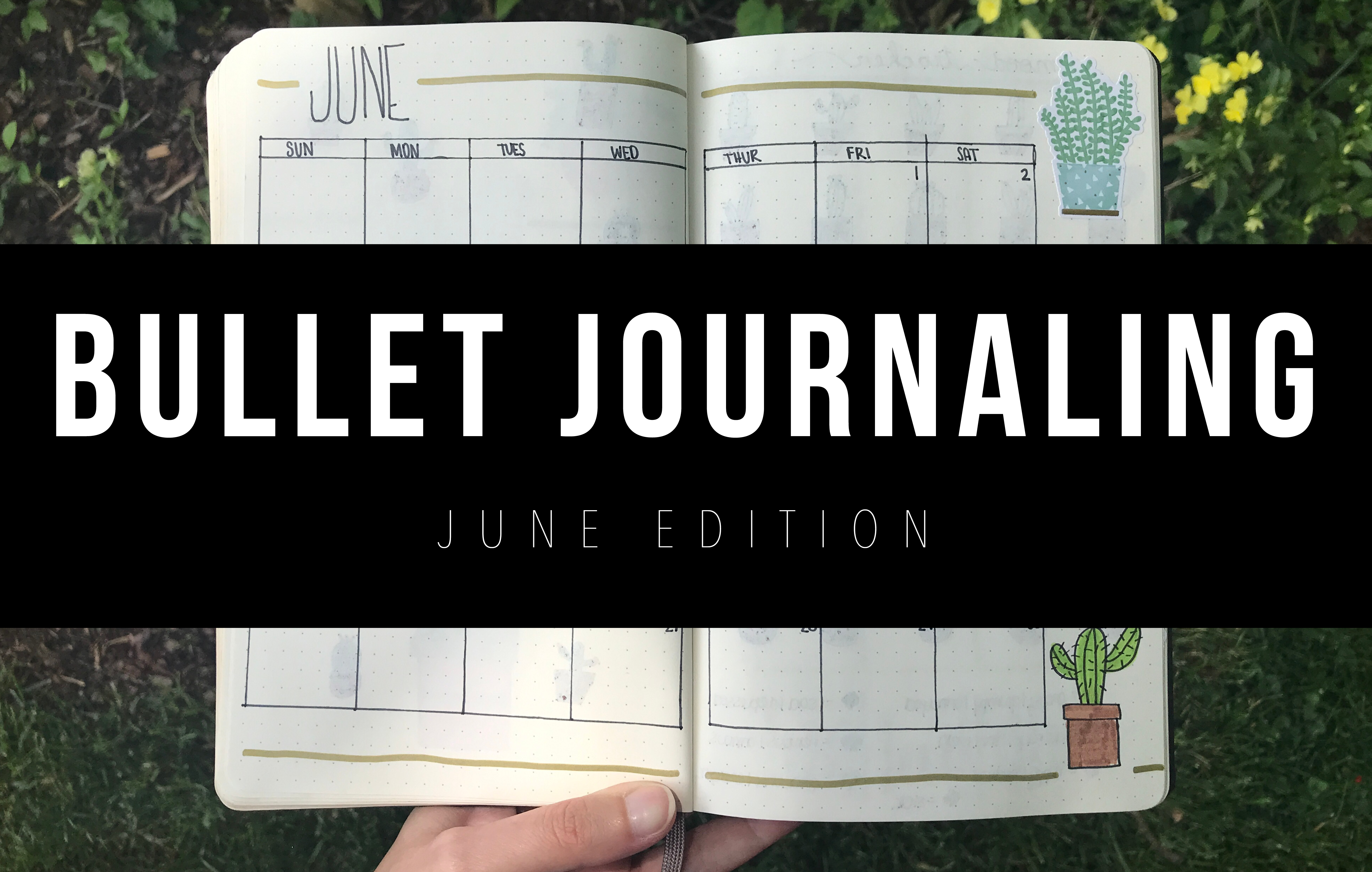 June Bullet Journal Set Up — A Spoonful of Honi photo