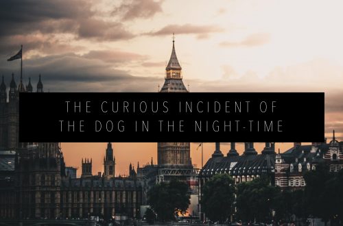 CURIOUS INCIDENT OF THE DOG IN THE NIGHT TIME FEATURED IMAGE
