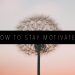 how to stay motivated Featured Image