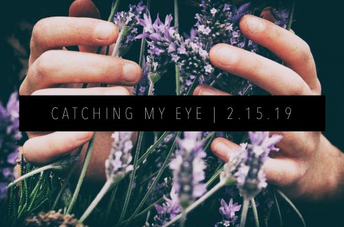 CATCHING MY EYE 2.15.19 FEATURED IMAGE