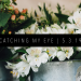 CATCHING MY EYE 5.3.19 FEATURED IMAGE