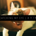 CATCHING MY EYE 8.9.19 FEATURED IMAGE